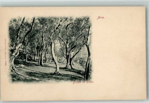 Arco Bosco di Olivi