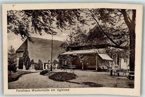 23701 W2420 Uklei Foto AK Forsthaus Wüstenfelde am Ugleisee