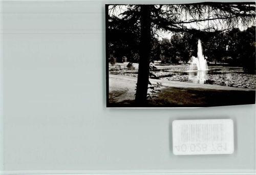 Rheinberg Seerosenteich Springbrunnen
