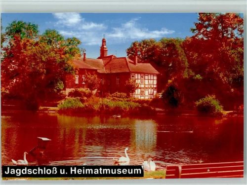 Seesen Jagdschloß und Heimatmuseum SChwäne