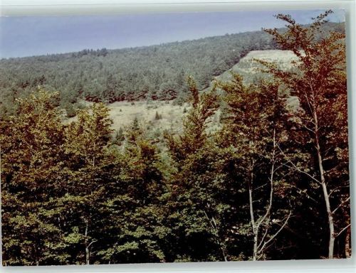 Düdinghausen Wald