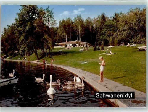 Buxheim Bub füttert Schäne