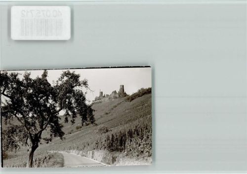 Alken Reben unter der Burg
