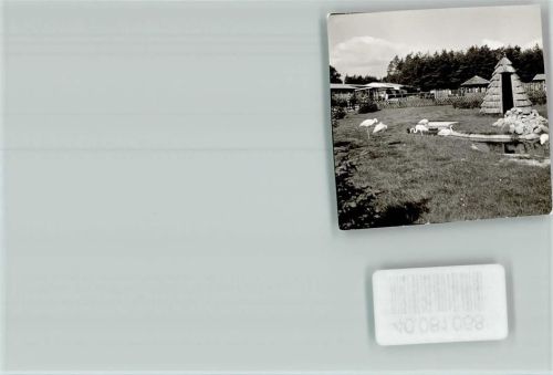 Stukenbrock Flamingos