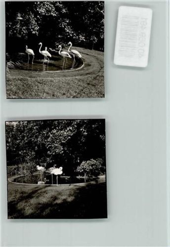 Westerburg Märchenpark
