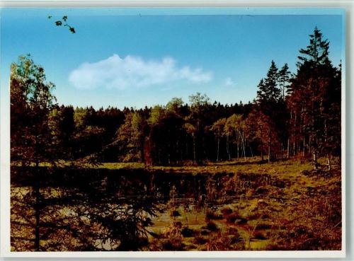 Kasseedorf Moor