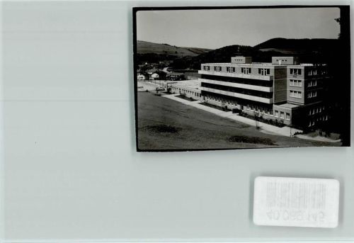 Schleiden