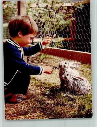 Pönitz Kind füttert Hasen