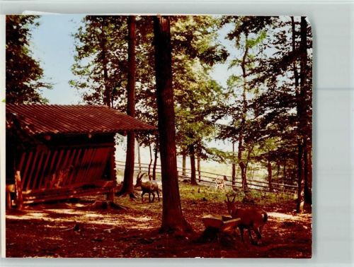 Rehbach Wildpark