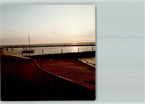 Damp Sonnenuntergang