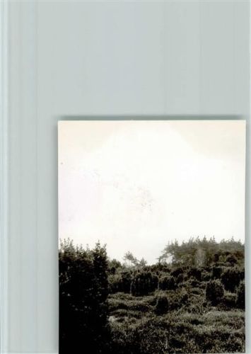 Ottenstein Foto