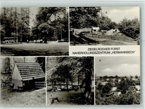 Querfurt Ziegelrodaer Forst Naherholungszentrum Hermannseck Mehrfachaufnahme