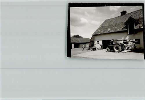 Lichtenhagen Bauernhof Traktor Schweine