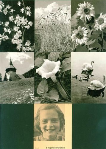 Jugendwerkkarten d. Blauen Kreuzes Lot mit 6 AK Serie, vor 1970, beste Erhaltung, nicht gelaufen