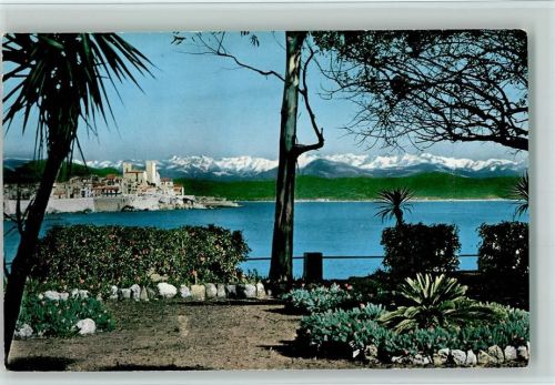 Antibes Pinien und verschneite Berggipfel