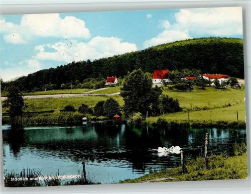 Lohrhaupten Ortsansicht See mit Schwänen