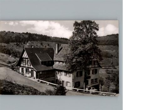 Brandmatt Gasthaus Grüner Baum AKU1