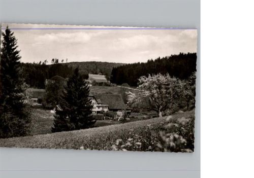 Lützenhardt