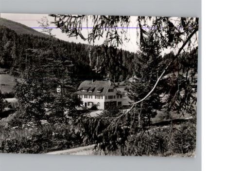 Erbersbronn Gasthaus zum grünen Wald