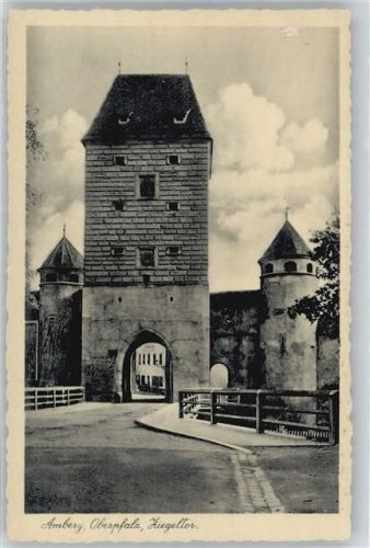 Amberg Trinks AK