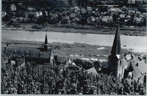 Alf Foto