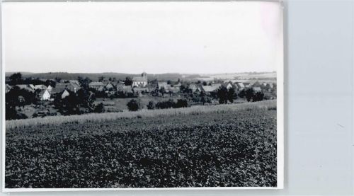 Lohr Foto