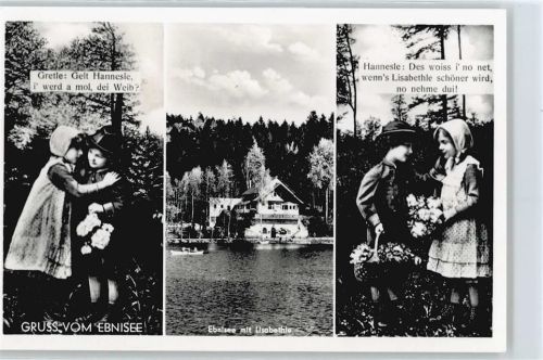 Ebnisee