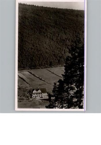 Enzklösterle Gasthof, Pension Enztallust