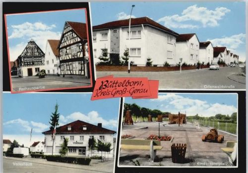 64572 W6087 Büttelborn