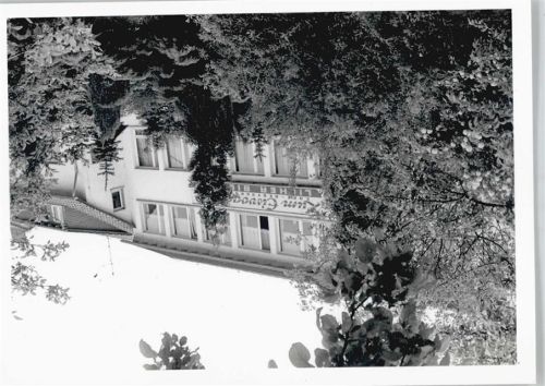 Anspach Foto