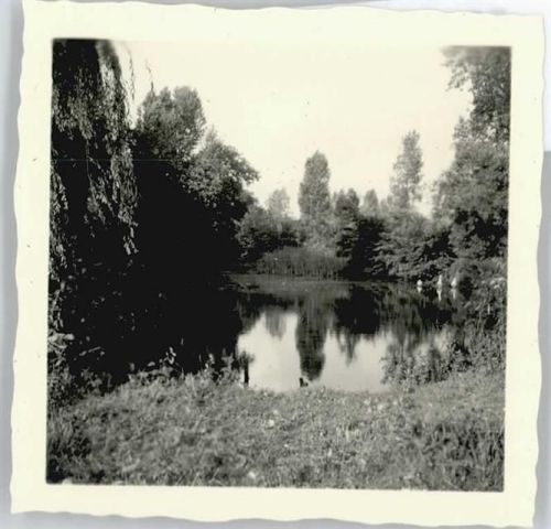 Myhl Foto