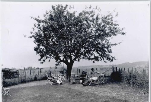 52385 W5168 Schmidt , Eifel - Foto