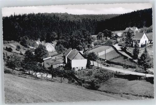 Fohlenplacken