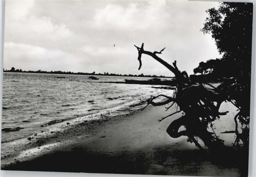 Sandstedt