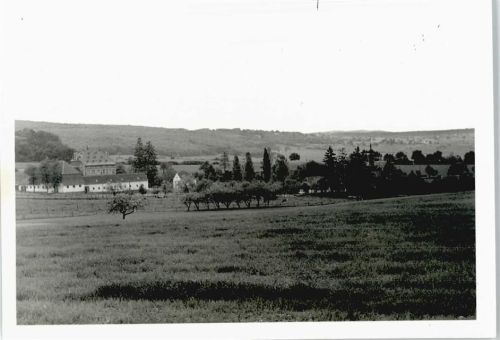 Daxweiler Foto-Karte, Wald-Erbach