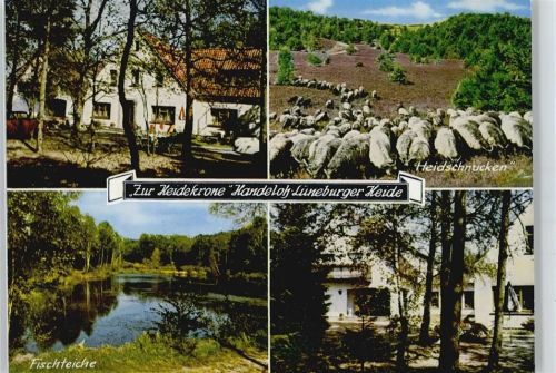 Handeloh Hotel Pension zur Heidekrone Schaf Teich