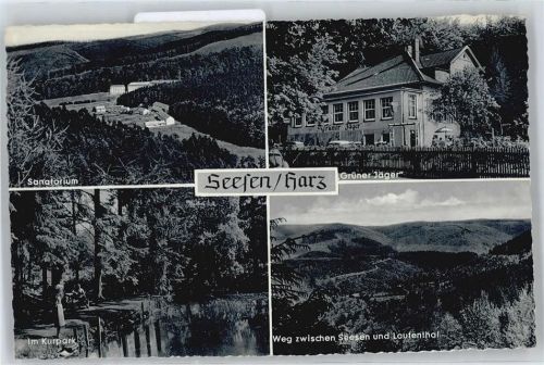 Seesen Pension Grüner Jäger Berg Kurpark Sanatorium