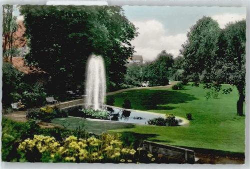 Seesen Brunnen Wiese Baum Bank