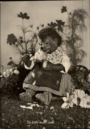 Ansichtskarte