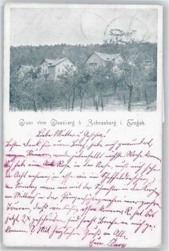 Schneeberg Haus Baum Gleesberg