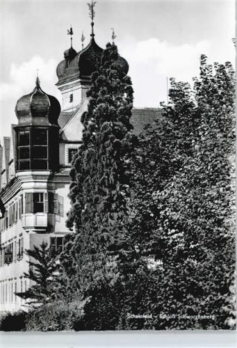 Scheinfeld