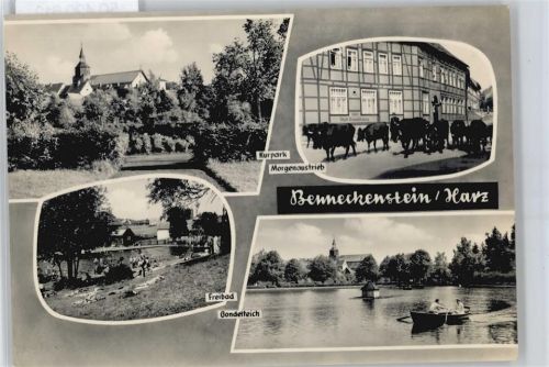 Benneckenstein Kuh Teich Boot Schwimmbad Kurpark