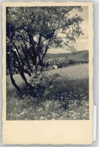 Ansichtskarte