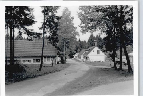 Industriehof Foto Straße Baum