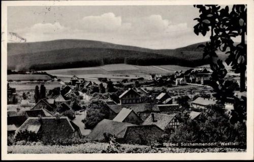 Levedagsen Landpoststempel