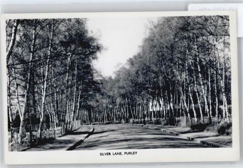 Purley