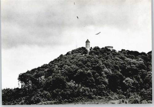 Eddigehausen Burg Berg Baum