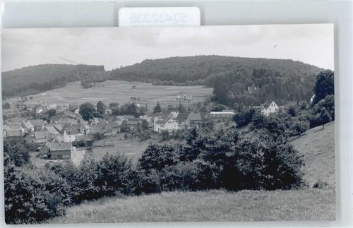Gemünden Foto Berg Feld Haus Baum