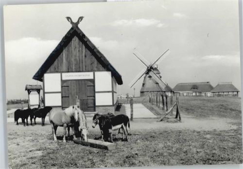 Groß Stieten Windmühle, Gaststätte Mecklenburger Mühle