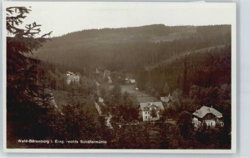 Kurort Bärenburg Baum Haus Berg